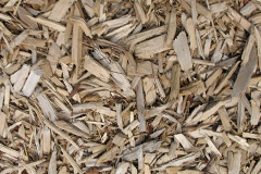 biomass boilers Pinehurst